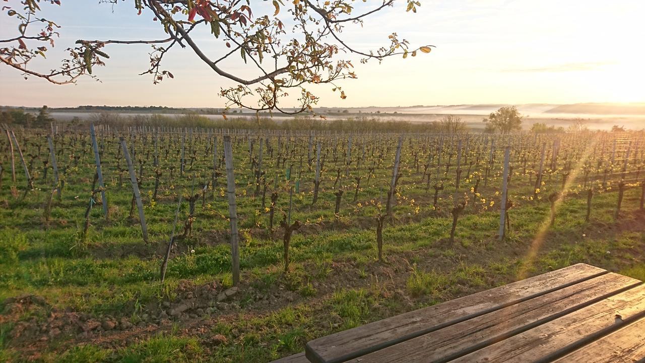 Hotel Weingut Familie Bauer Grossriedenthal Exterior foto